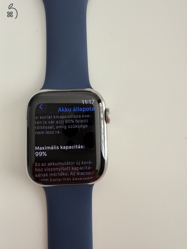 Apple Watch Series 9, 45 mm – ezüst rozsdamentes acél, garanciás, GPS+LTE változat