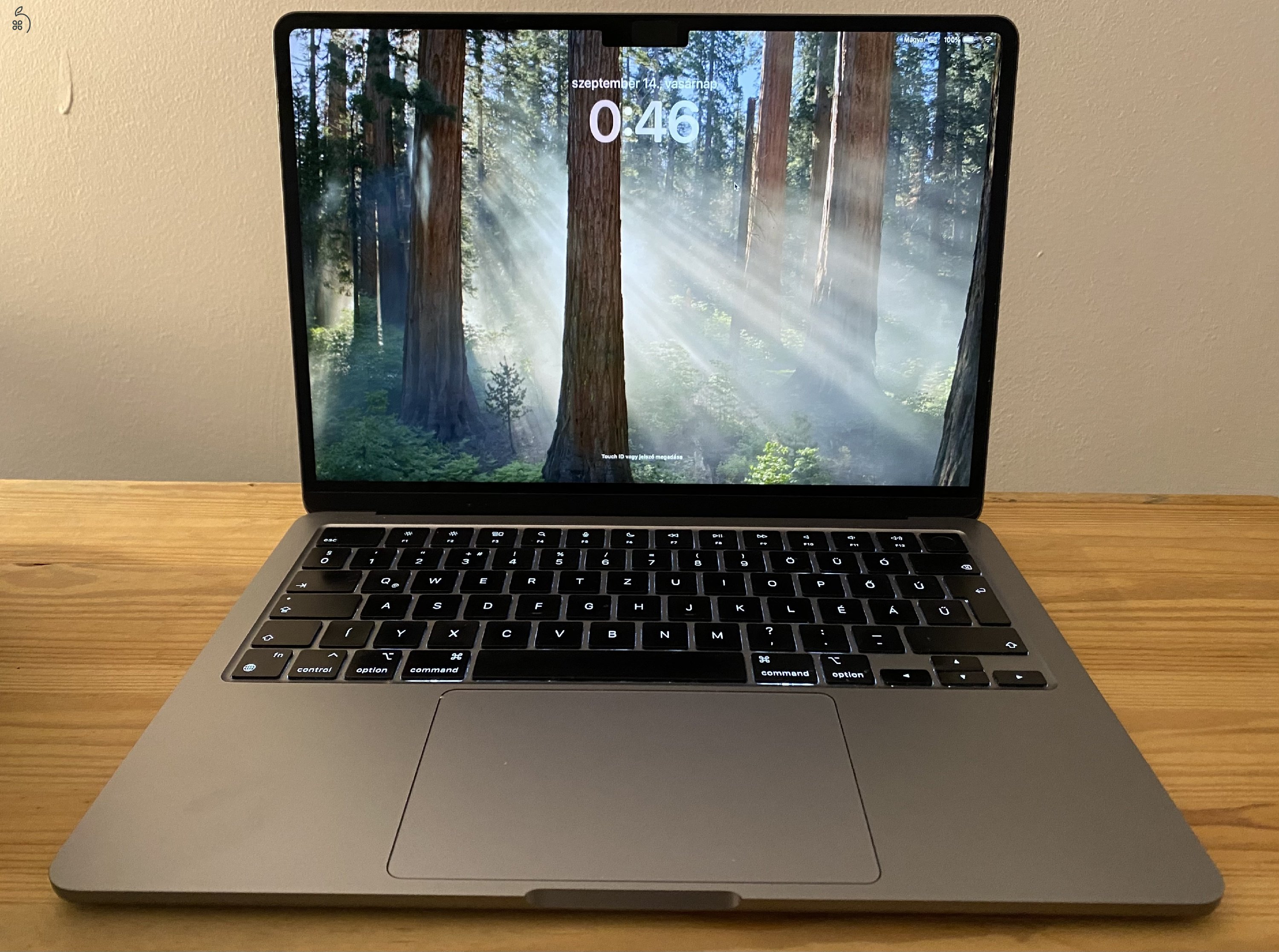 MacBook Air 13
