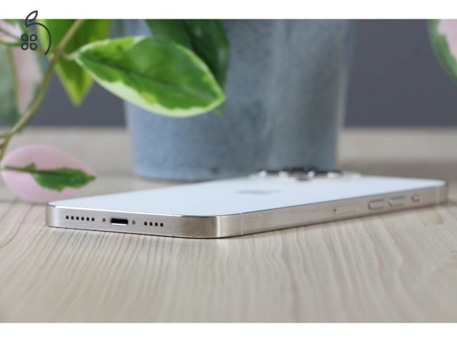 Apple 13 Pro Max 128GB Silver C+ US-7105