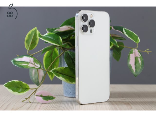 Apple 13 Pro Max 128GB Silver C+ US-7105