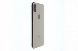 Apple iPhone XS 64 GB Gold 100%