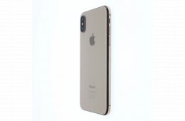 Apple iPhone XS 64 GB Gold 100%