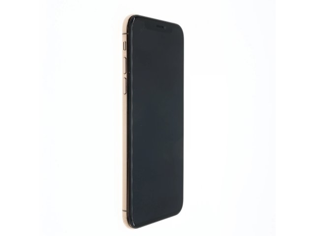 Apple iPhone XS 64 GB Gold 100%