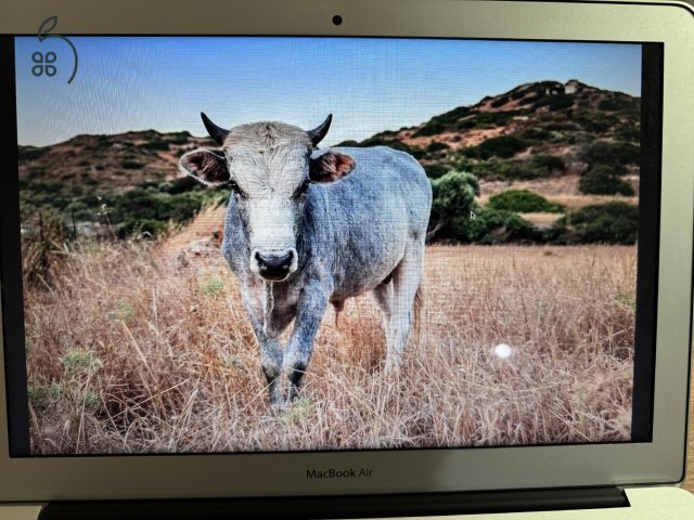 Megkímélt Macbook Air eladó