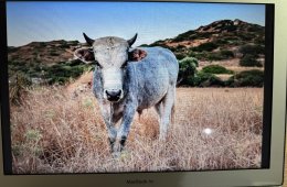 Megkímélt Macbook Air eladó