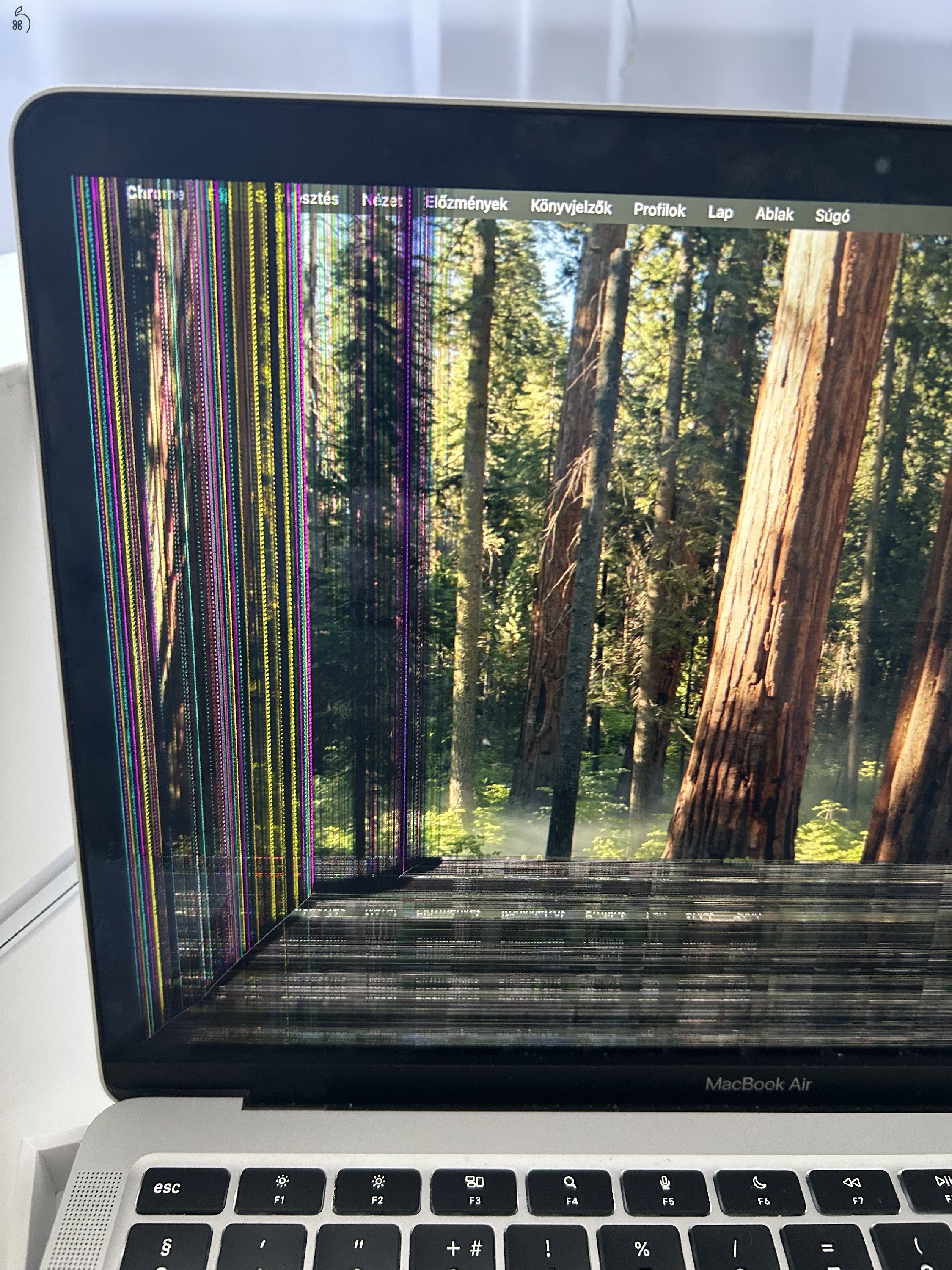 Macbook air M1 256/8 sérült kijelző 