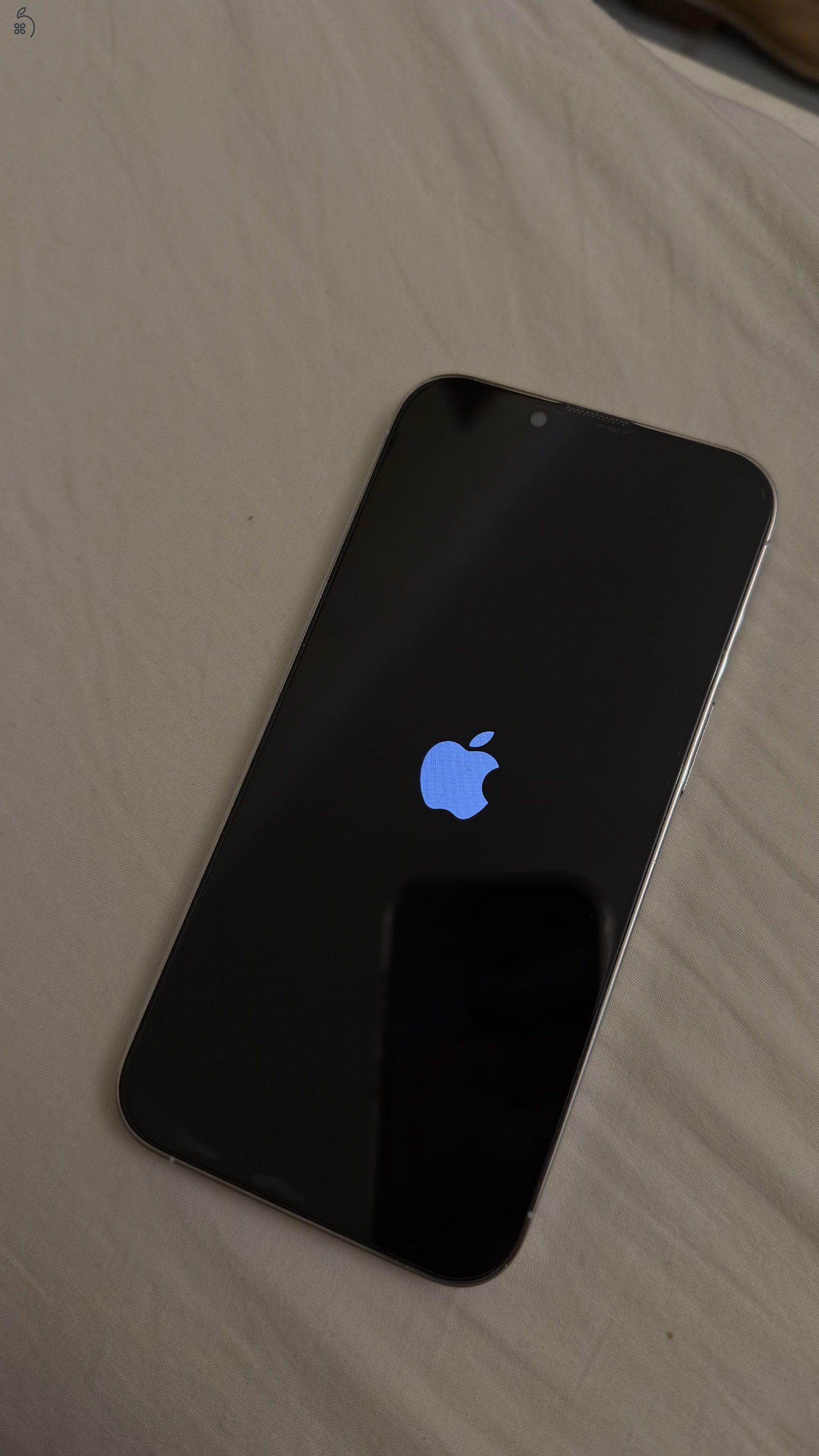iPhone 13 pro 