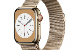 Apple Watch Series 8 – Gold Stainless Steel + Milanese Loop 