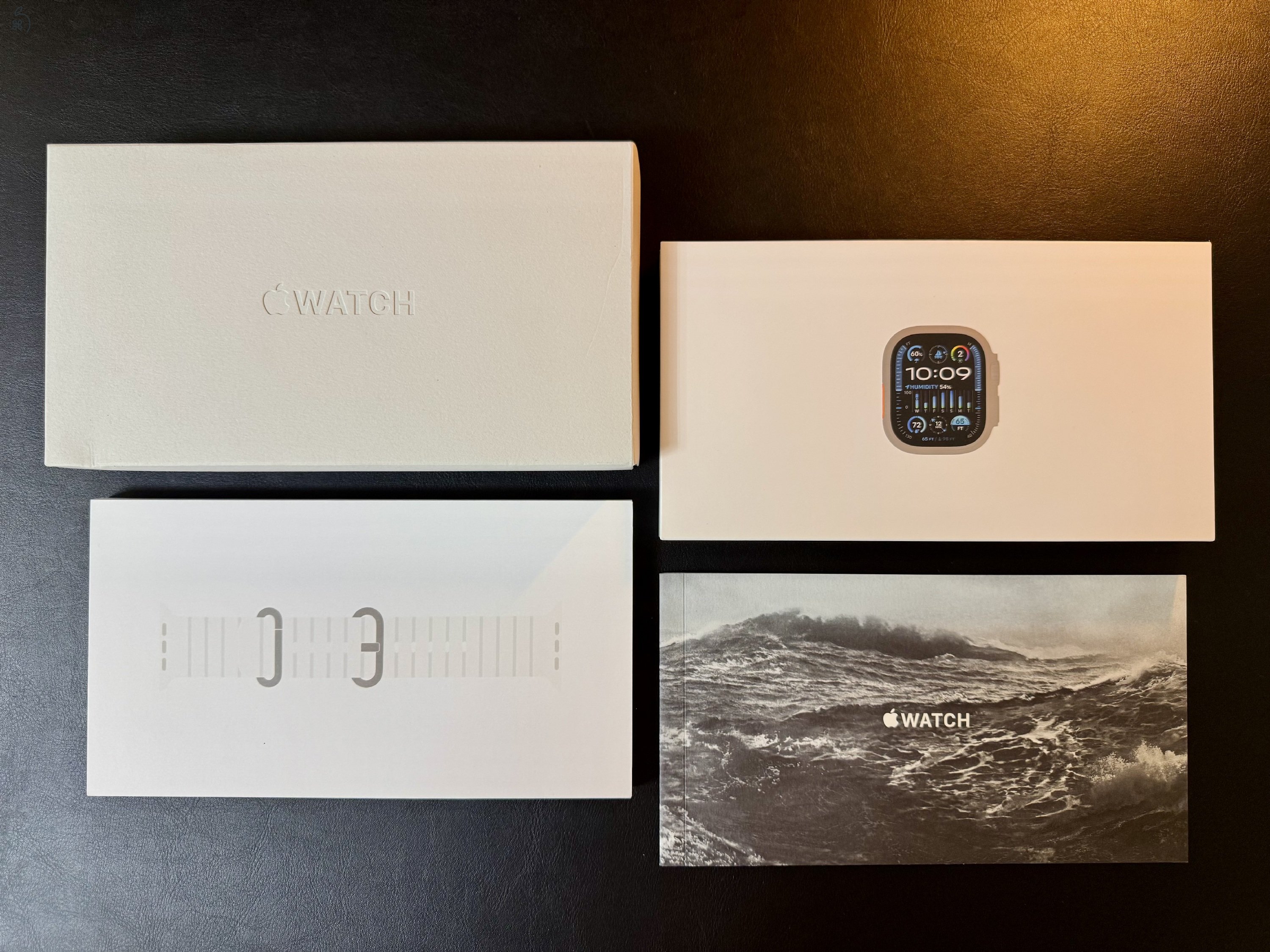 Apple Watch Ultra 2, 49 mm, Titanium, White Ocean Band