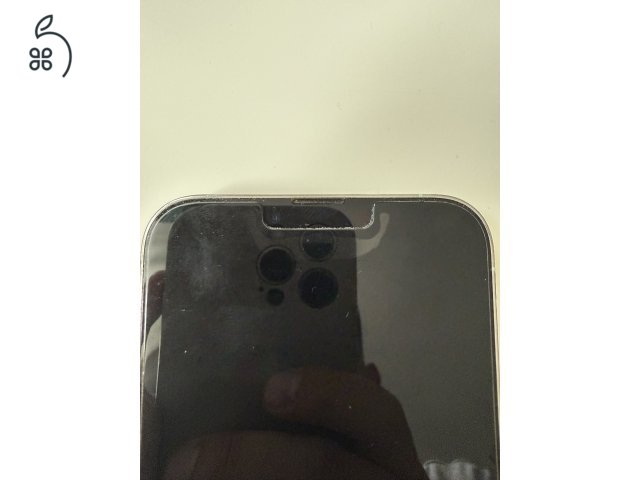 Apple iPhone 13 Pro Max 1 TB
