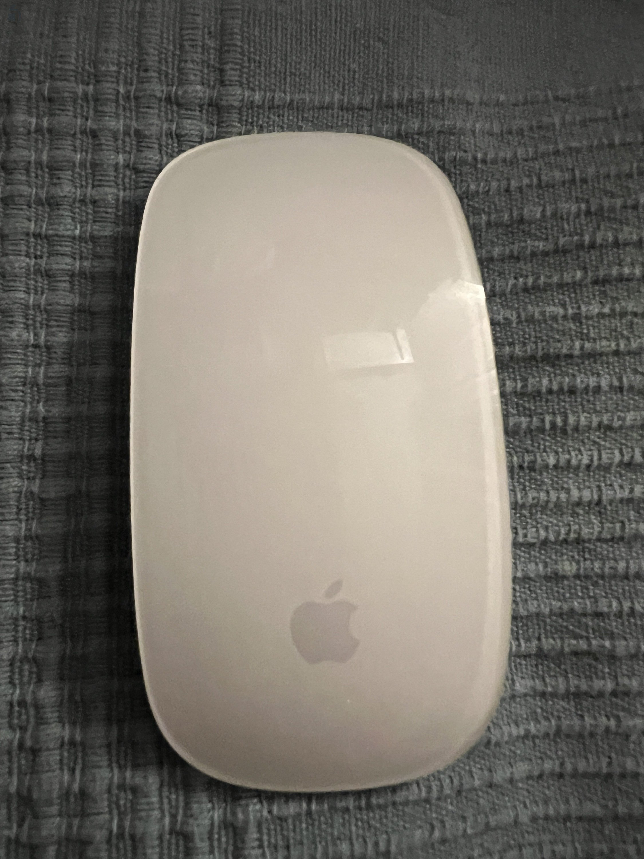 Magic Mouse 2