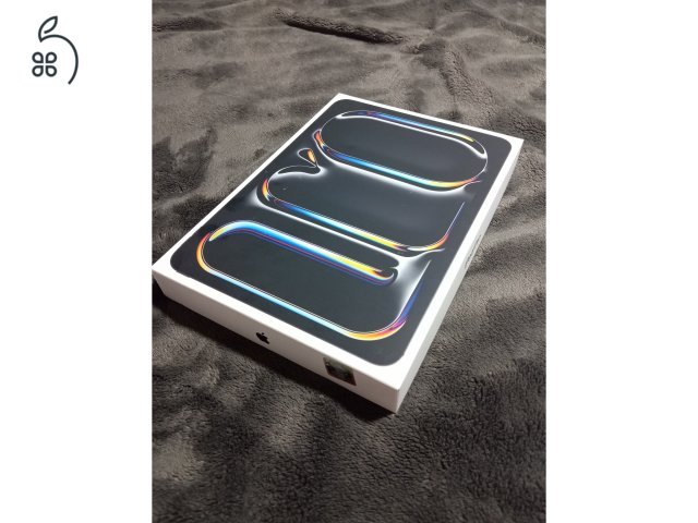 iPad pro 11 256GB(2024)