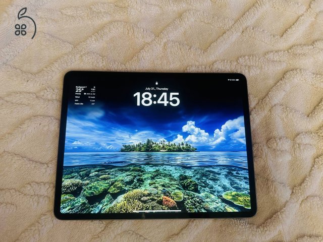Ipad Pro 12.9 2020 256GB