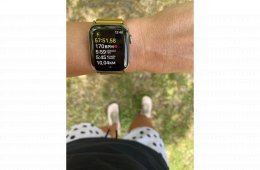 Apple Watch 6 40mm Gold Stainless Steel Cellular 