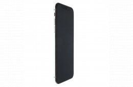 Apple iPhone X 64 GB Silver 100%