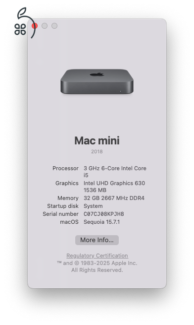 Mac Mini 2018 i5 (6-core) 32GB RAM / 512GB SSD + Magic Mouse 2