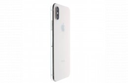 Apple iPhone XS 64 GB Silver 100%