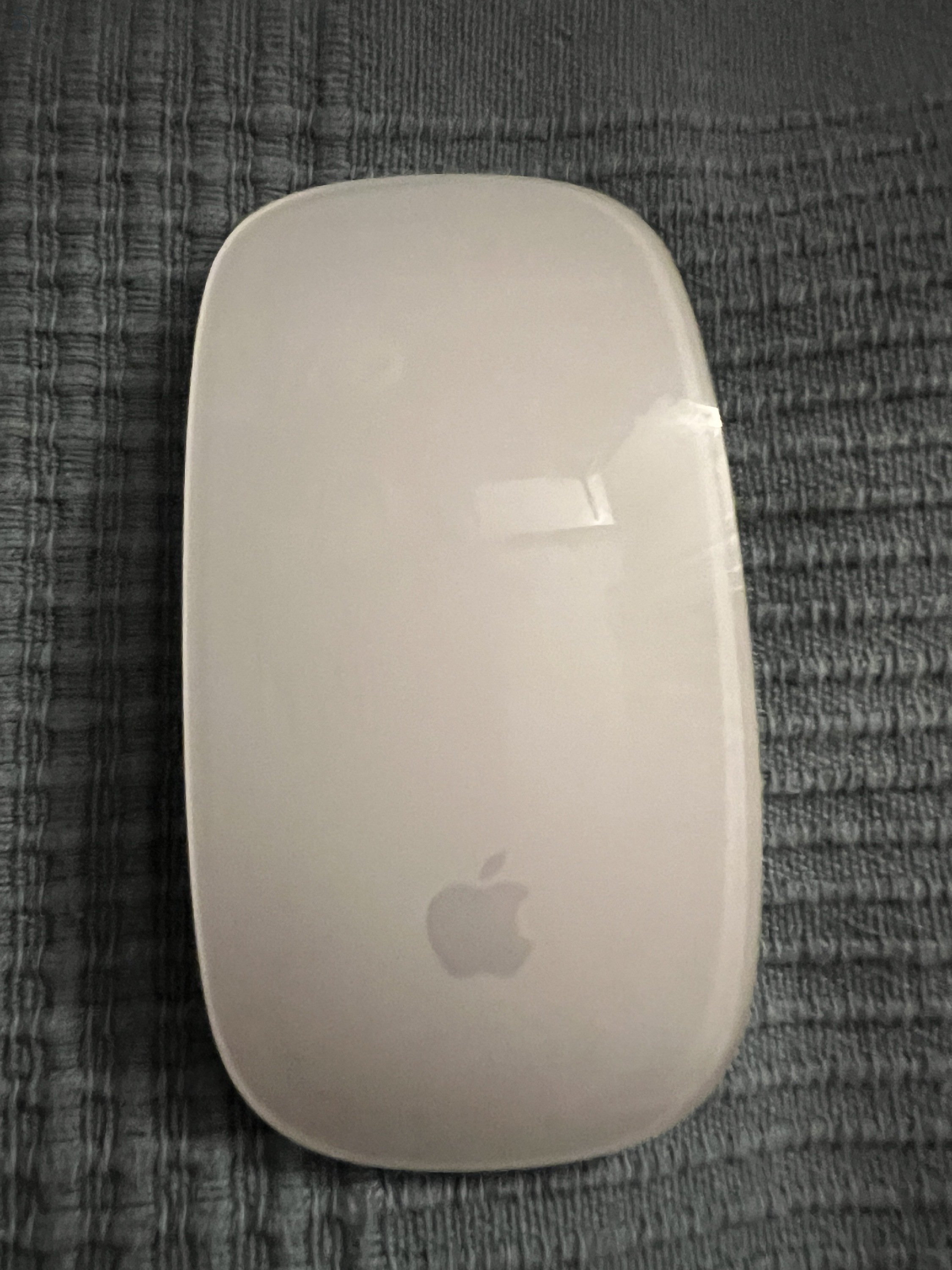 Magic Mouse 2  / silver