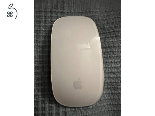 Magic Mouse 2  / silver