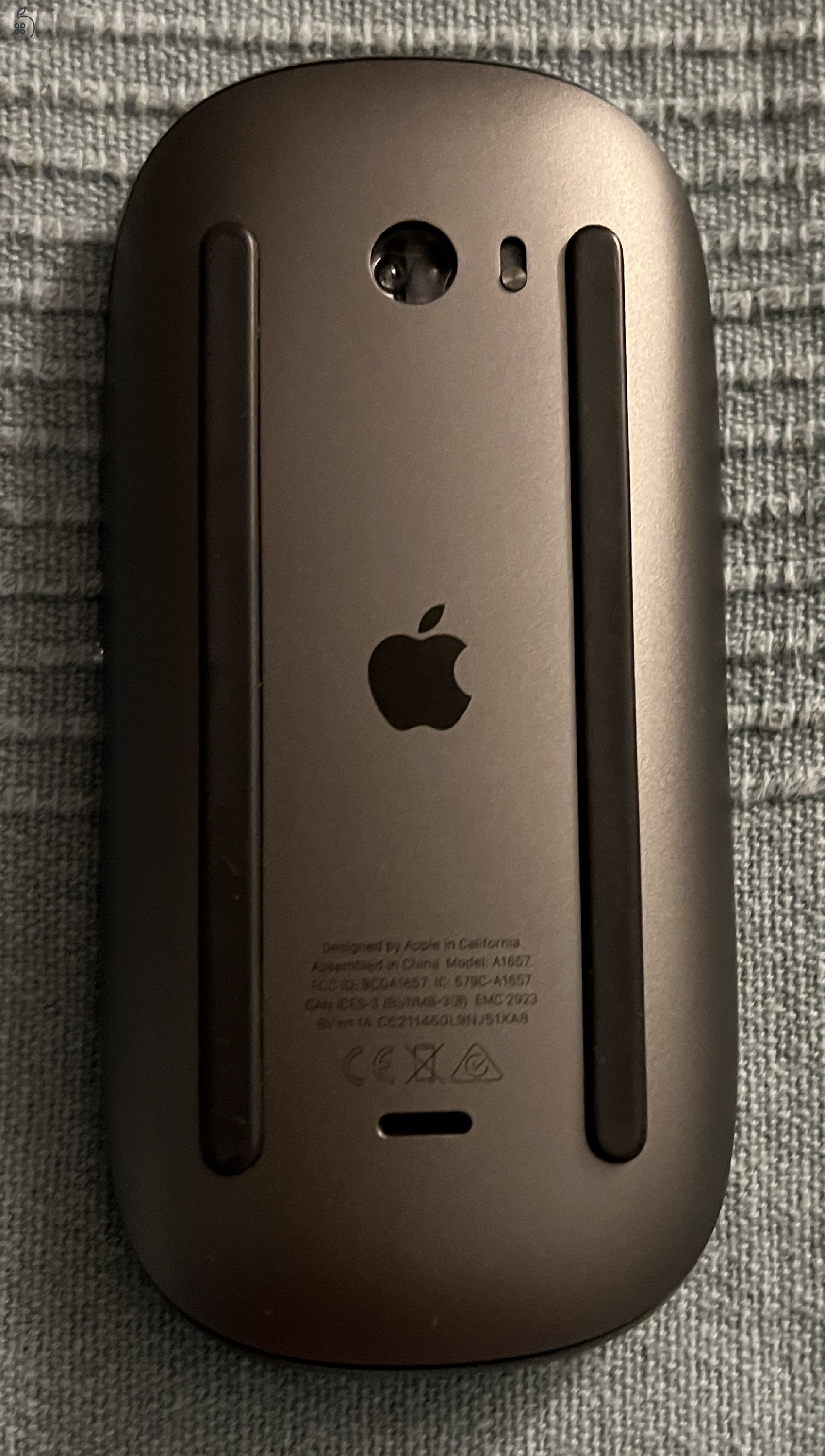 Magic Mouse 2  / silver