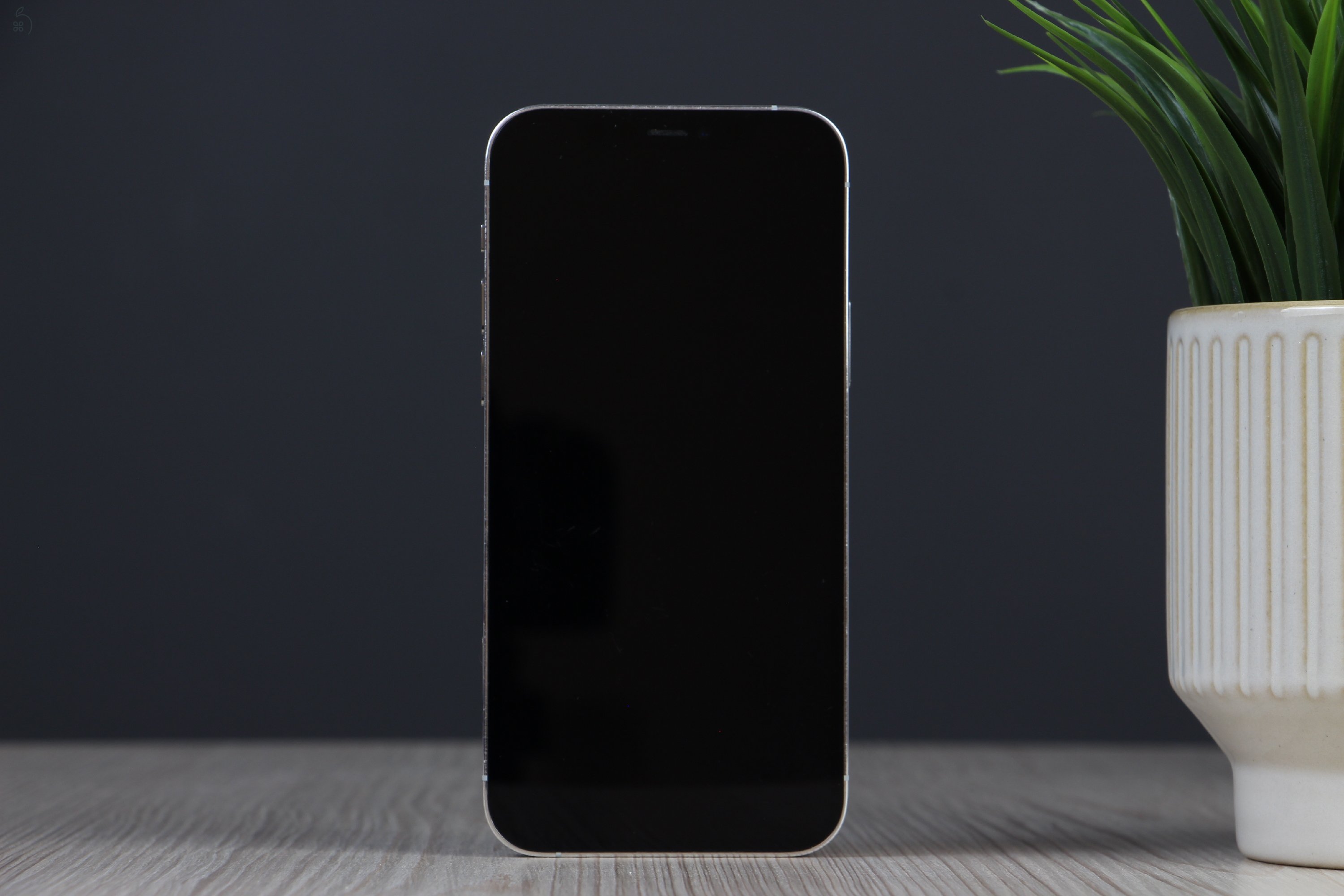 Apple iPhone 12 Pro 128GB Silver C+ US-7392