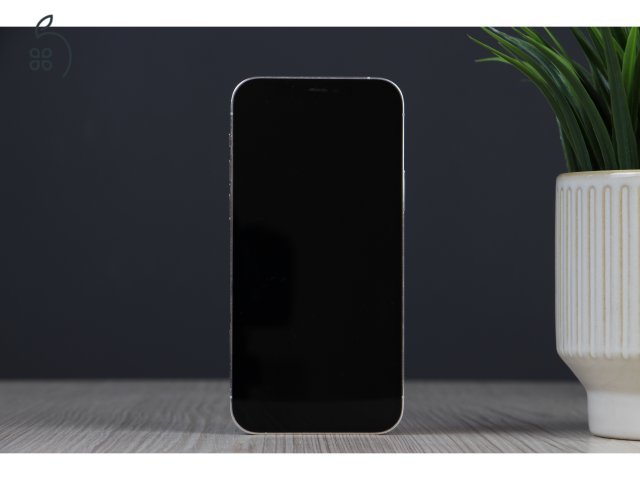Apple iPhone 12 Pro 128GB Silver C+ US-7392