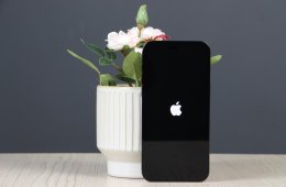 Apple iPhone 14 Pro Max 256GB Black B US-7393