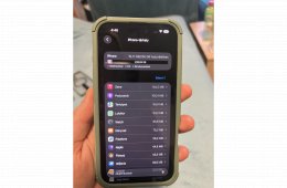 iPhone 16 Plus 256GB