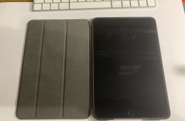 Apple iPad mini 5 (64GB)