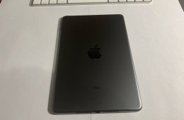 Apple iPad mini 5 (64GB)