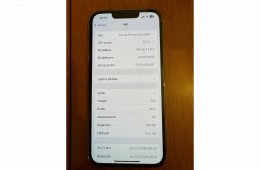 iPhone 13 pro 256 GB