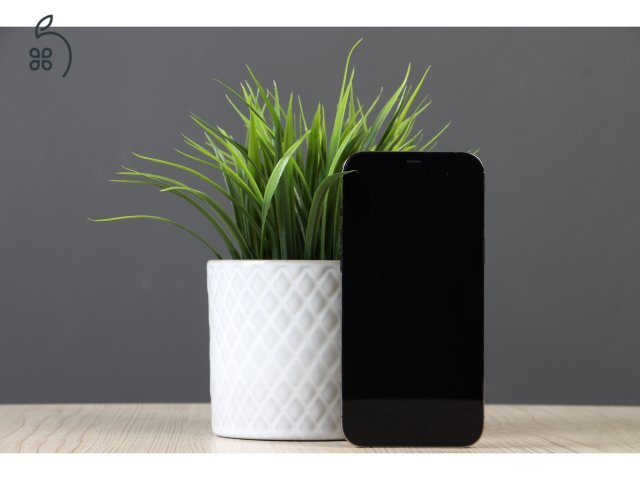 Apple iPhone 12 Pro Max 128GB Graphite C+ US-7433