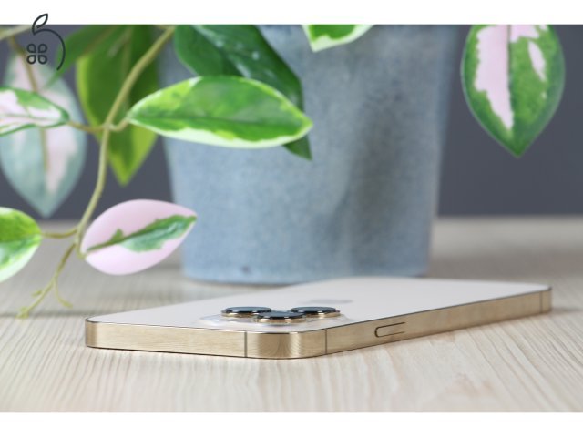 Apple iPhone 13 Pro Max 128GB Gold B US-7424
