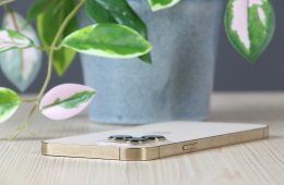 Apple iPhone 13 Pro Max 128GB Gold B US-7424