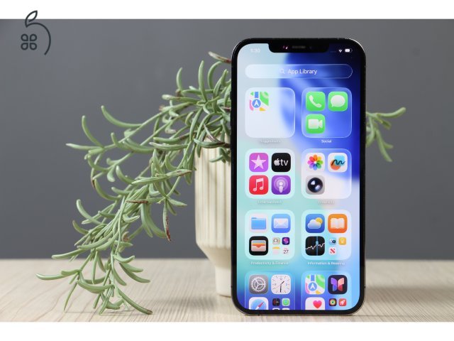 Apple iPhone 12 Pro Max 256GB Graphite B US-7459