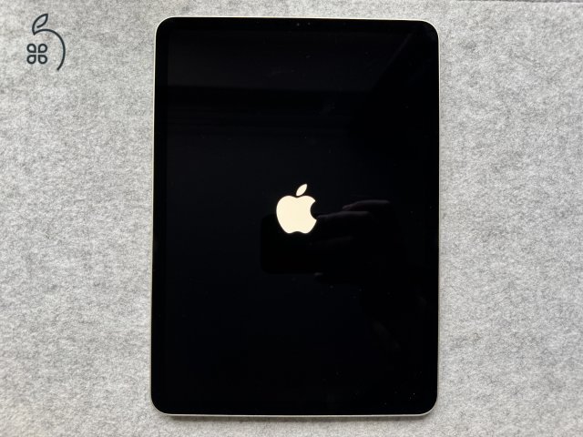 iPad Pro 11' 1st gen 64 GB