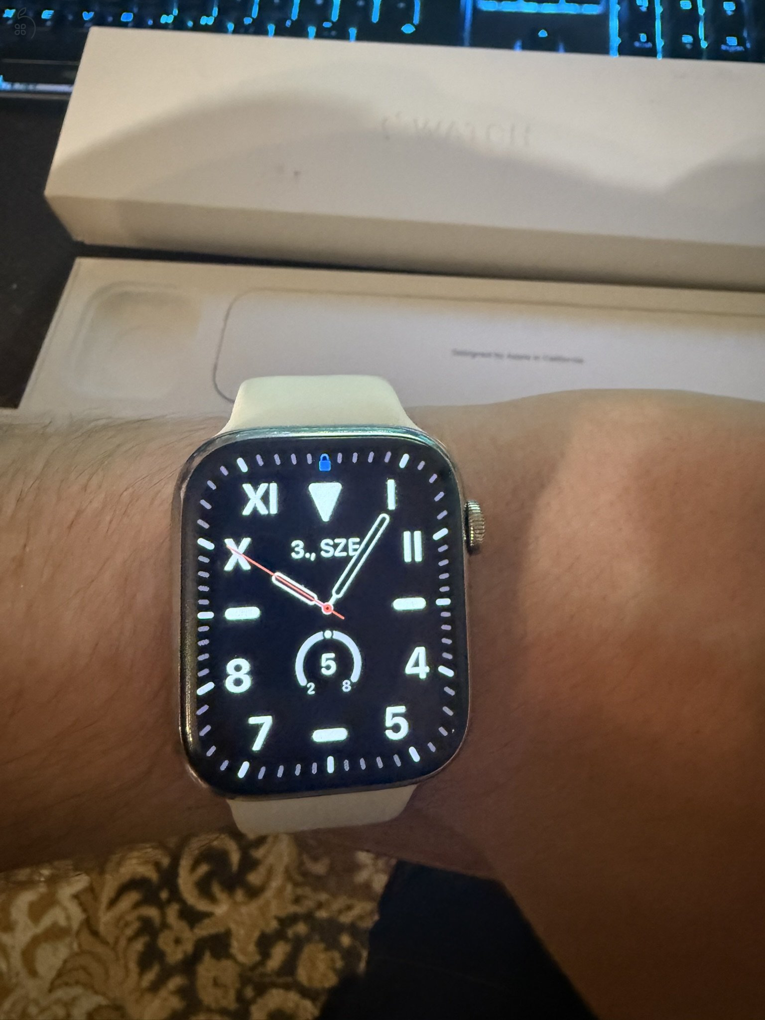 Apple Watch S7 45mm - Silver Stainless Steel - Akku 85%