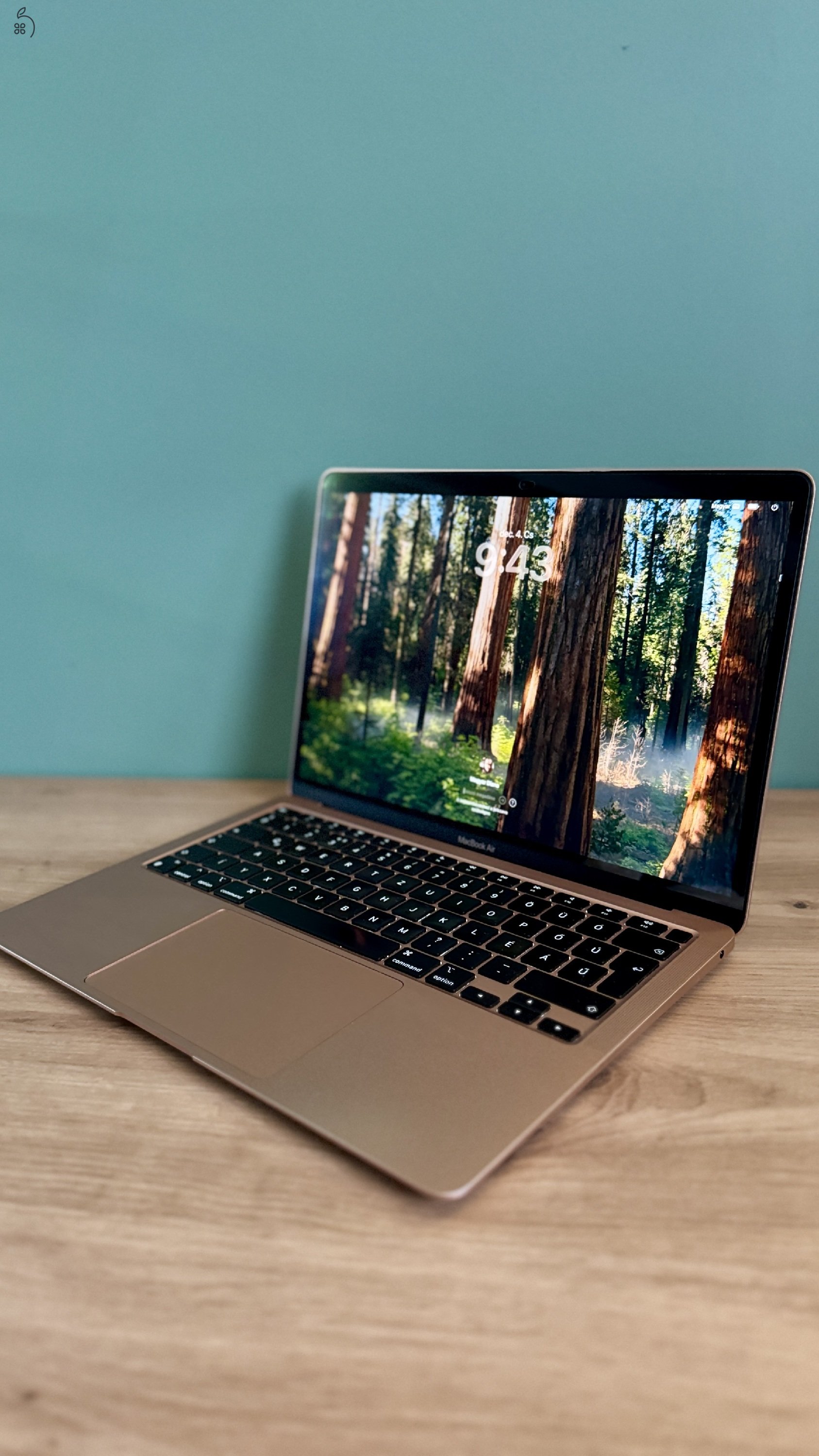 Apple Macbook Air 2020 M1 - 13