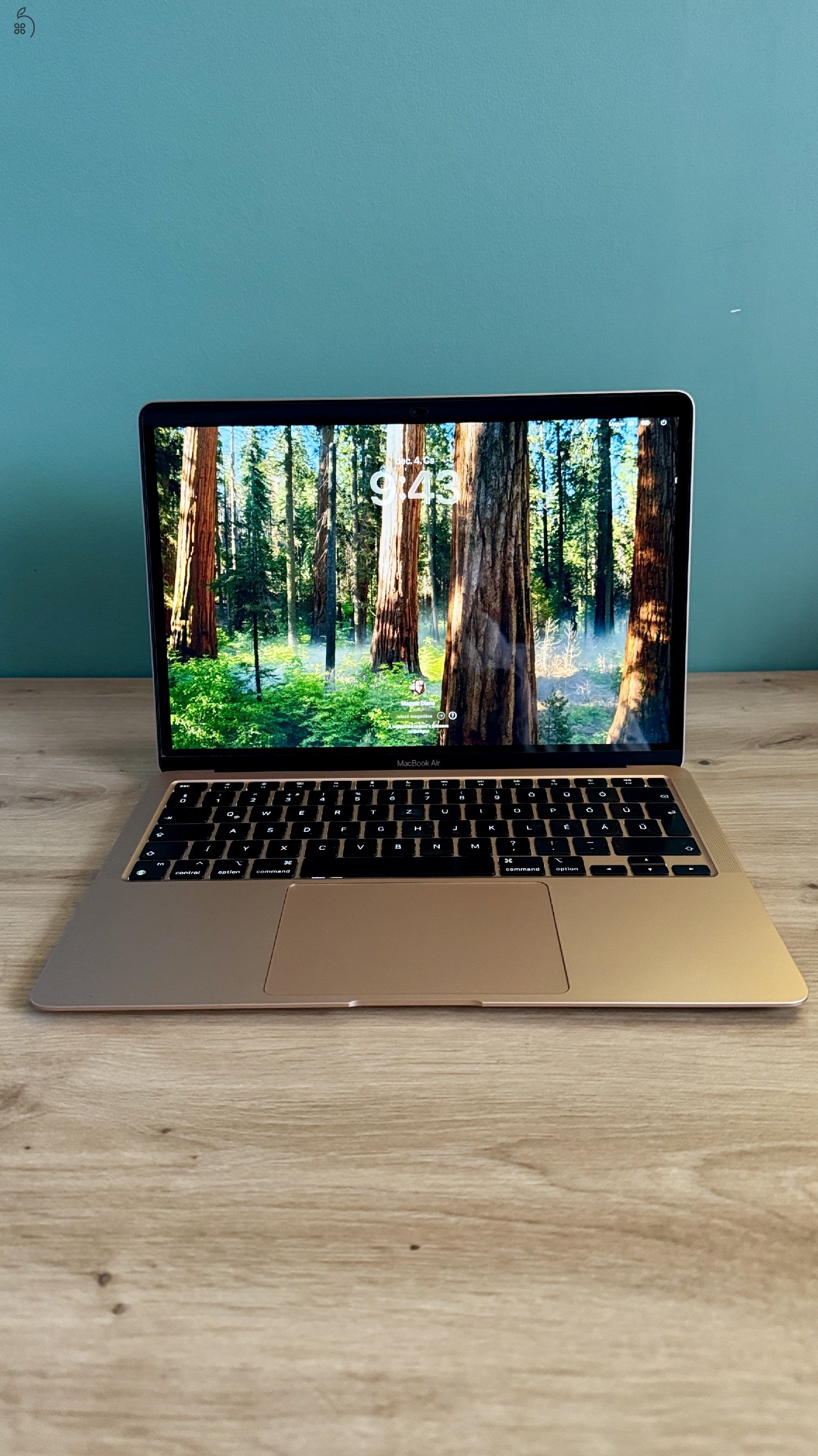 Apple Macbook Air 2020 M1 - 13