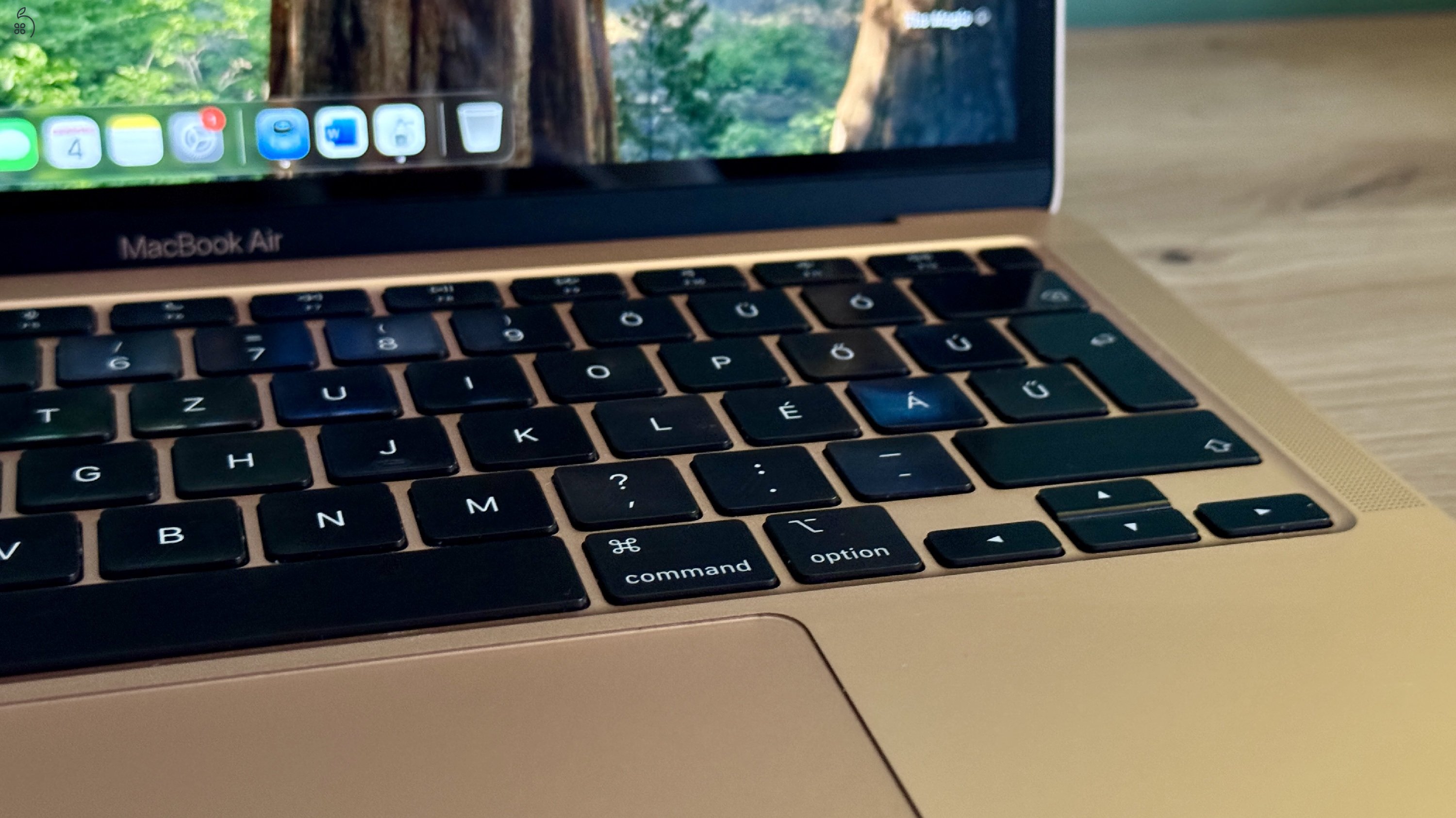 Apple Macbook Air 2020 M1 - 13