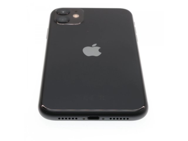 Apple iPhone 11 64 GB Black 100%