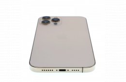 Apple iPhone 12 Pro Max 256 GB Gold 100%