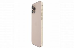 Apple iPhone 12 Pro Max 256 GB Gold 100%