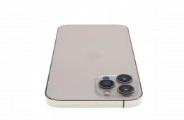Apple iPhone 12 Pro Max 256 GB Gold 100%