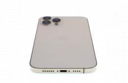 Apple iPhone 12 Pro Max 256 GB Gold 100%