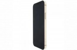 Apple iPhone 12 Pro 256 GB Gold 100%