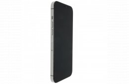 Apple iPhone 12 Pro Max 256 GB Graphite 100%