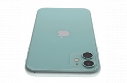 Apple iPhone 11 64 GB Green 100%