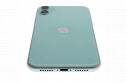 Apple iPhone 11 64 GB Green 100%