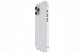 Apple iPhone 12 Pro Max 256 GB Silver 100%